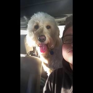 Meet your Posher, Joe